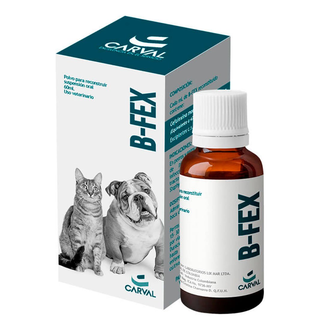 B-FEX SUSPENCION ORAL X60ML