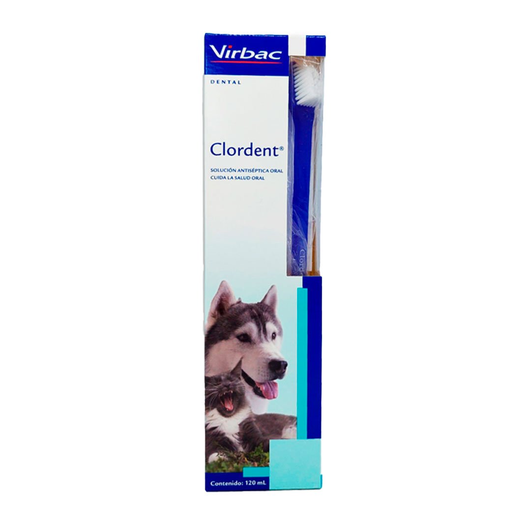CLORDENT ORAL SPRAY * 120 ML