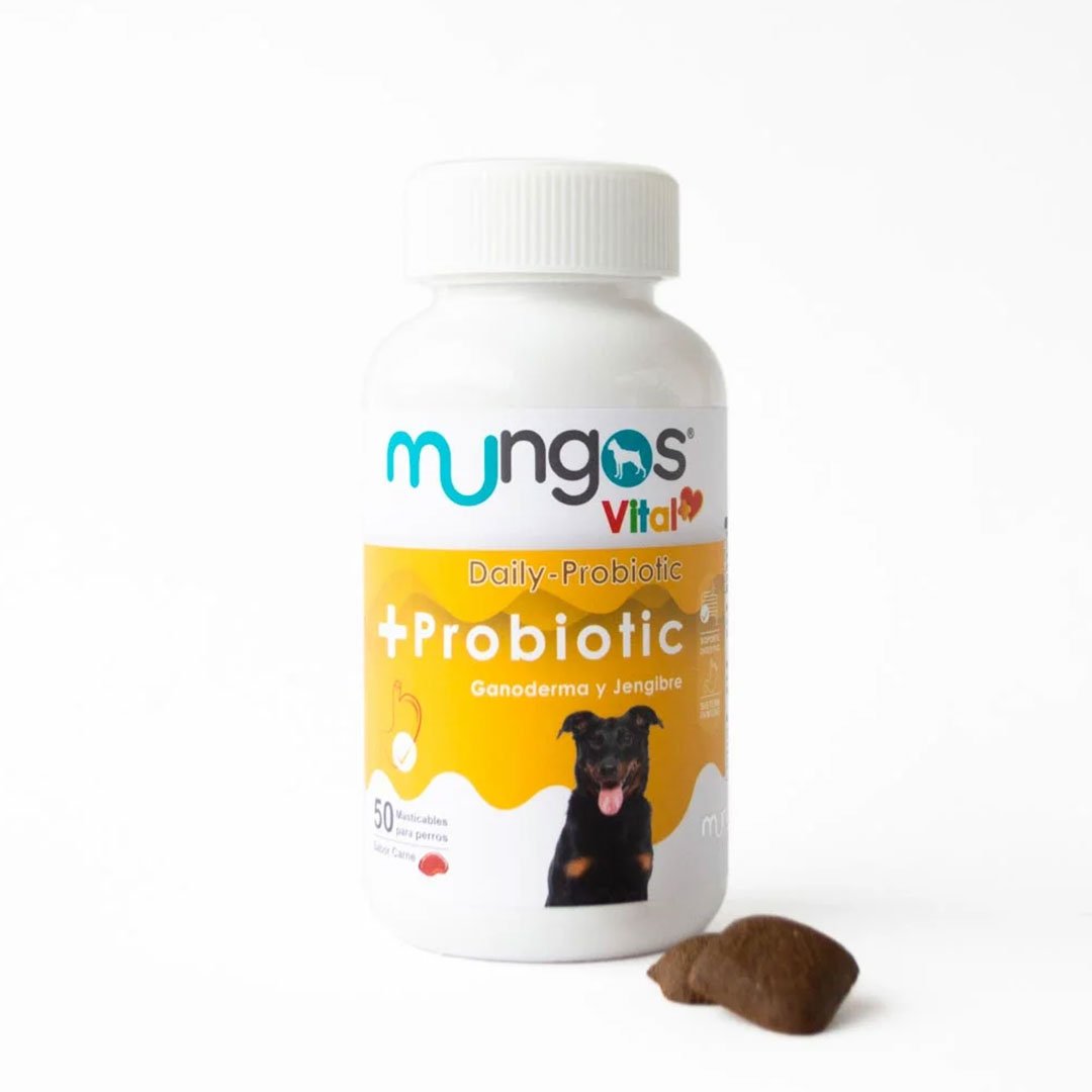Mungos vital Probiotic x 50 und blandas