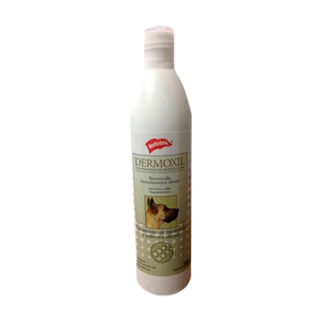 Dermoholliday Shampoo Antiséptico 250ML