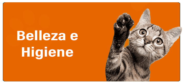 belleza-e-higiene-naranja